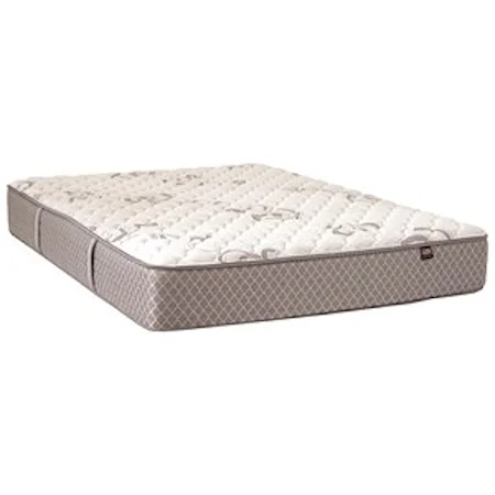 Queen Plush Mattress